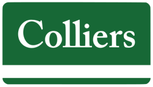 image2vector (4)